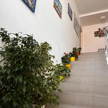Apartament Janett 2 *